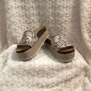 Snake slip in sandal